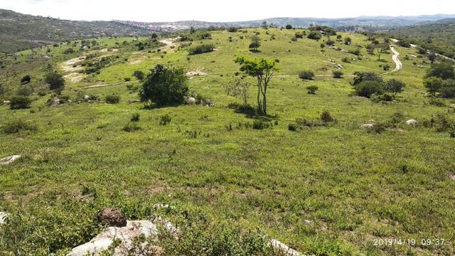 Vendo 64 h na PE 87 a 4 km do centro de Gravatá PE - Foto 14