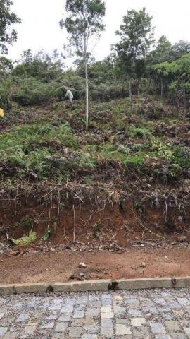 Terreno à venda, 370 m² por R$ 95.000 - Albuquerque - Teresópolis/RJ - Foto 4