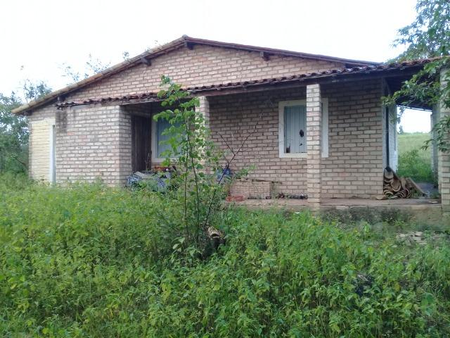 Excelente sítio, com casa sede e casa de caseiro na região de Santo Estevão Bahia - Foto 3