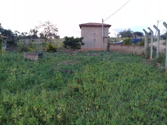 Excelente sítio, com casa sede e casa de caseiro na região de Santo Estevão Bahia - Foto 19