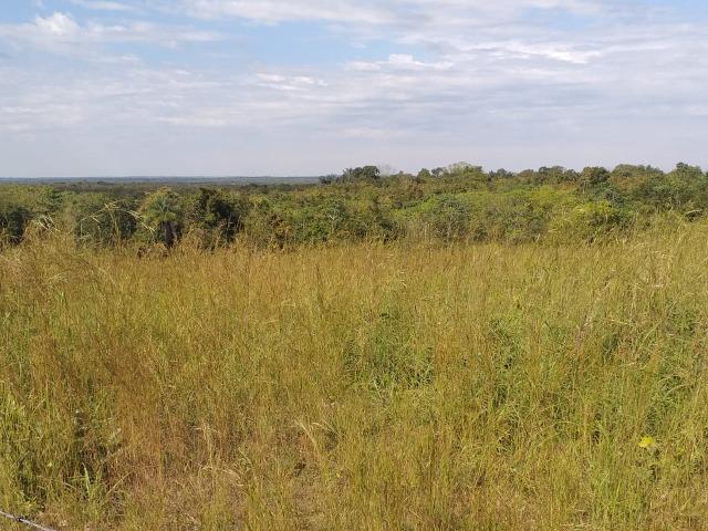 Sitio Próximo da Cidade - Foto 2