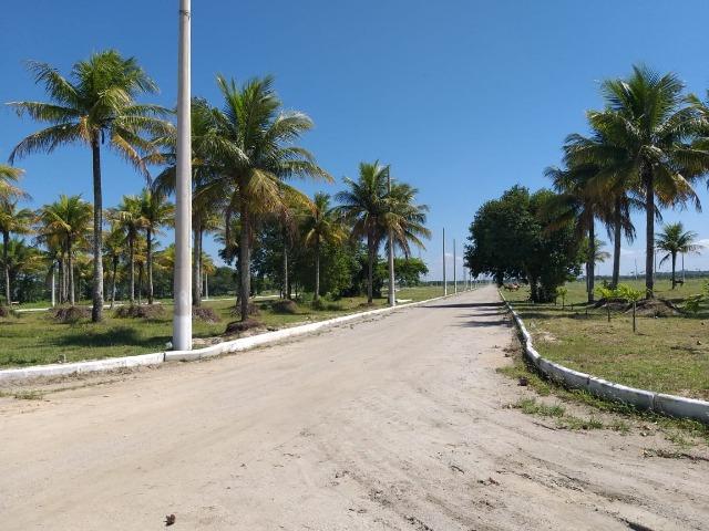 L-Terreno localizado no Residencial Unavida em Unamar - Tamoios - Cabo Frio/RJ - Foto 3