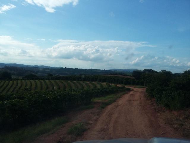 Fazenda Café Sul de Minas - Foto 5