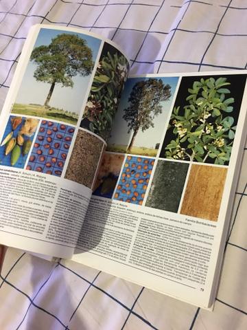 Livros arvores brasileiras volume 1 e 2 - Foto 2