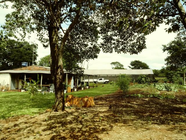Chácara - Foto 5