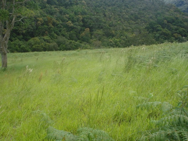 Sítio em Liberdade MG - Foto 4