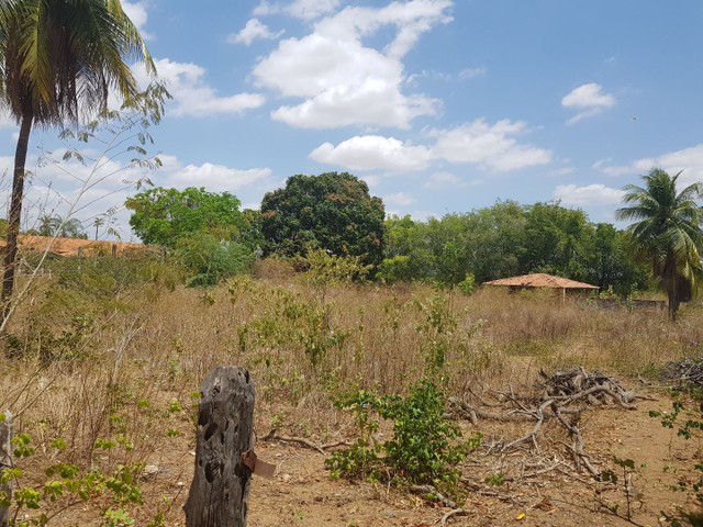 Vendo propriedade em Barbalha! - Foto 5