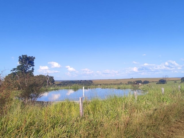 313 alqueires em caiapónia  - Foto 3