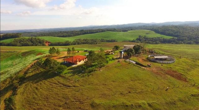 Área para soja próxima de Curitiba