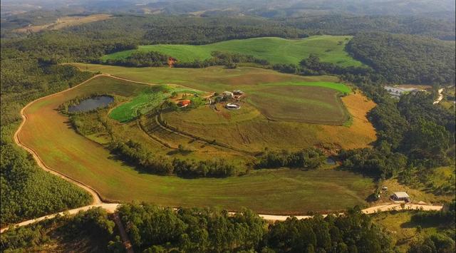 Área para soja próxima de Curitiba - Foto 9