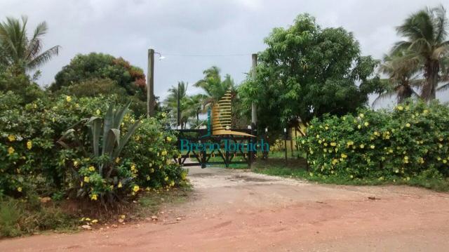 Fazenda à venda, 890000 m² por r$ 1.300.000 - teixeira do progresso - mascote/ba