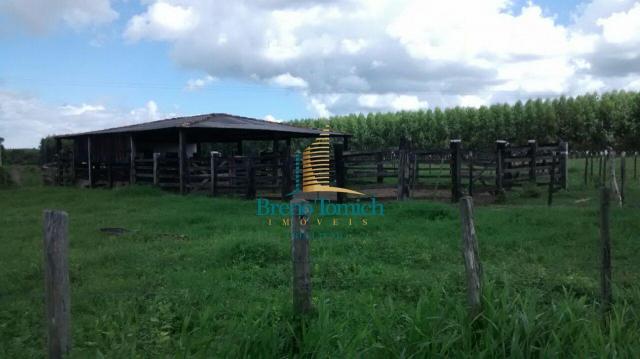 Fazenda à venda, 890000 m² por r$ 1.300.000 - teixeira do progresso - mascote/ba - Foto 10