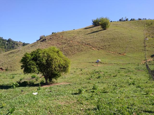 Sítio Viana 10 herquitares - Foto 2