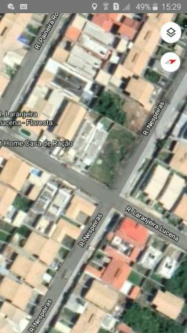 Lote de 380m Floresta Encantada - Foto 2