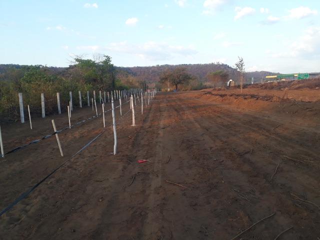 Terreno na Empreendimento na estaca zero/Lagoinha - Foto 5