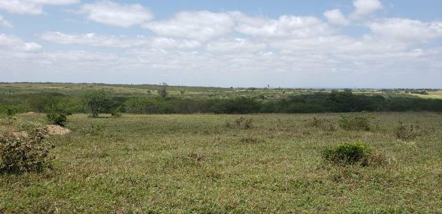 Fazenda com 80 hectares entre brejinho e santo Antônio do salto da onça - Foto 3