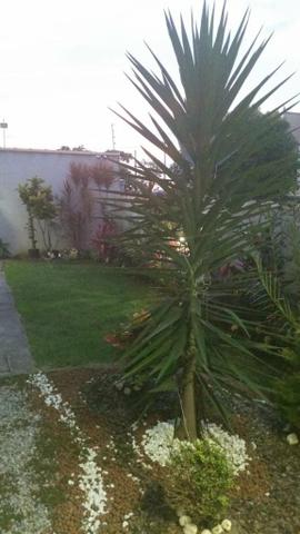 Vendo apartamento com jardim e varanda privada