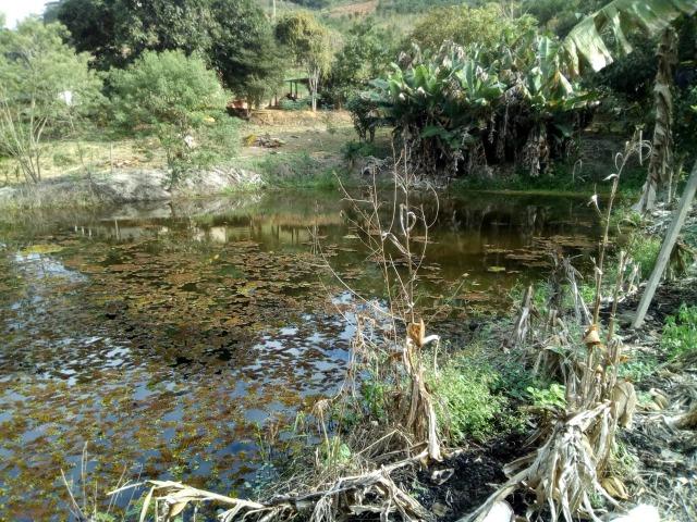Chácara Santa Teresa - Parcelas de 800 mensais!! - Foto 6