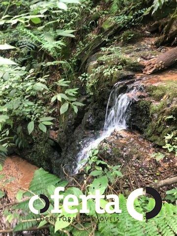 Chácara à venda em Serrinha, Contenda cod:549 - Foto 5