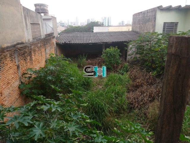 Terreno Bairro Olímpico - Foto 10