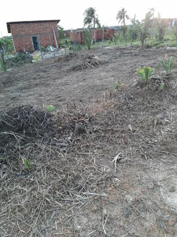 Terreno