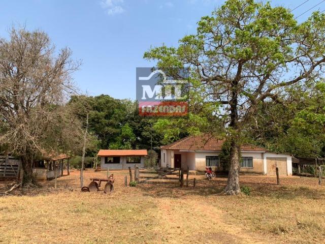 Fazenda à 35 km Goiânia (Beira Rio e Plana) - Foto 2