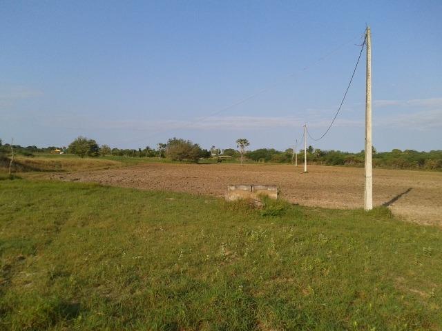 Granja com 11 há em mandú, lagoa de pedras - Foto 11