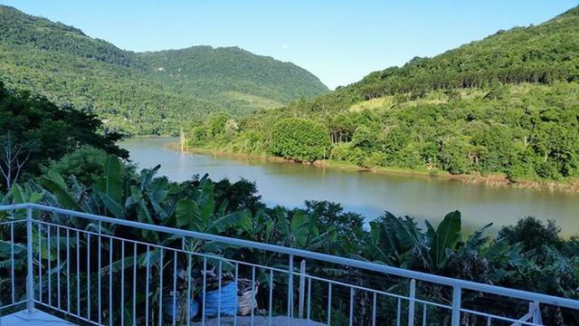 Sítio Rio das Antas- Ponte BG -Veranópolis - Foto 12