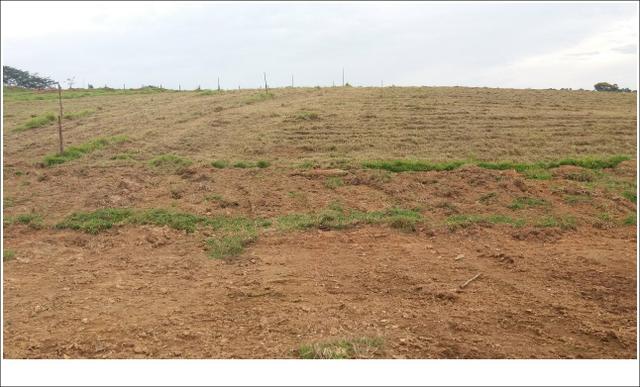 Terrenos a Venda próximo a cidade de São Roque -SP - Foto 3