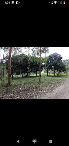 Terreno - Foto 11