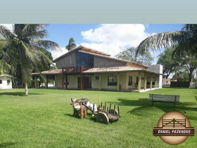 Fazenda com 480 hectares em Bom Jesus-RN - Foto 20