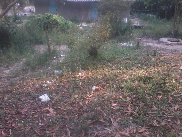 Terreno plaino