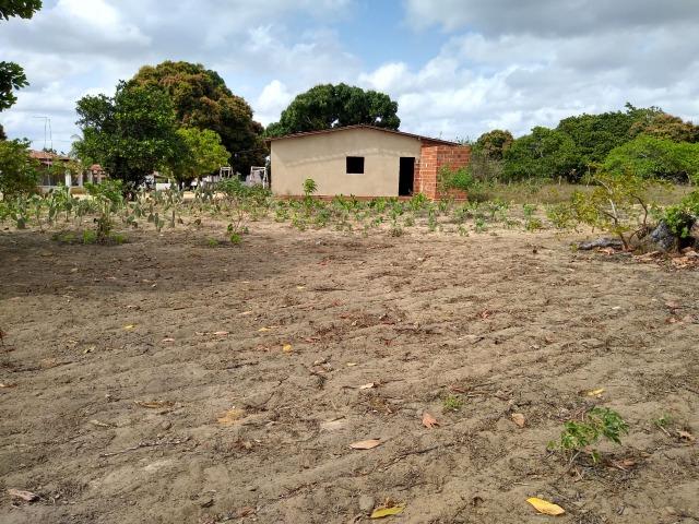 Granja com 4 há em bom jesus com 3 casas e outra em construção, piscina, galpão - Foto 13