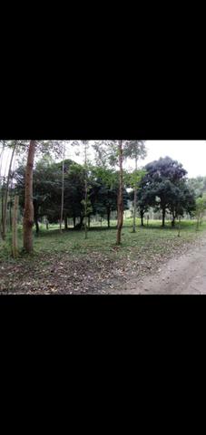Terreno - Foto 9