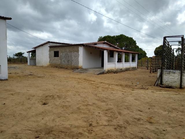 Granja com 4 há em bom jesus com 3 casas e outra em construção, piscina, galpão - Foto 2