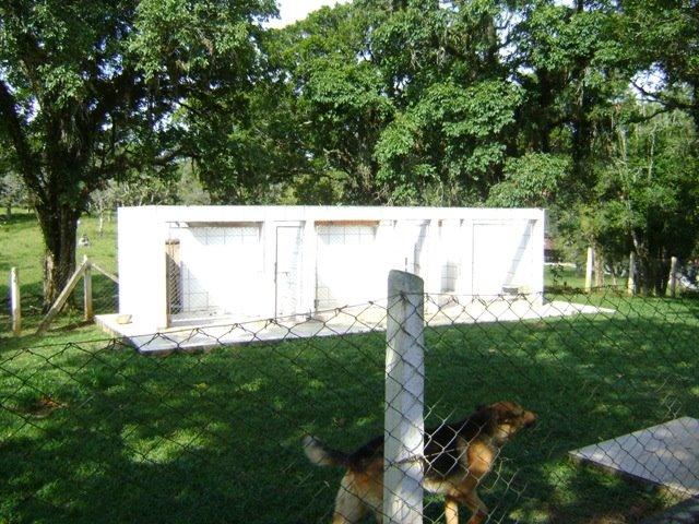 Residencial Piraquara - Chácara - Foto 10
