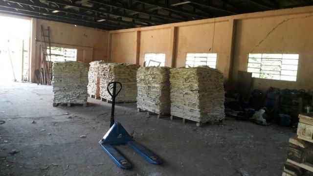 Fazenda de 120 alqueires em Inacio Martins/PR - Foto 11