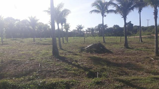 Ll Terrenos Próximo ao Trevo de Búzios - Foto 3