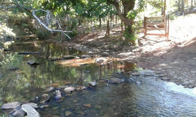 Fazenda 5.5 Alqueires Municipio de Pirinopolis Não aceita Imovel - Foto 19