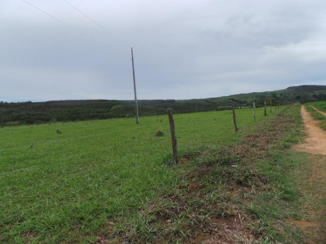 Fazenda 132 Alqueires Municipio Cocalzinho Aceita proposta - Foto 13