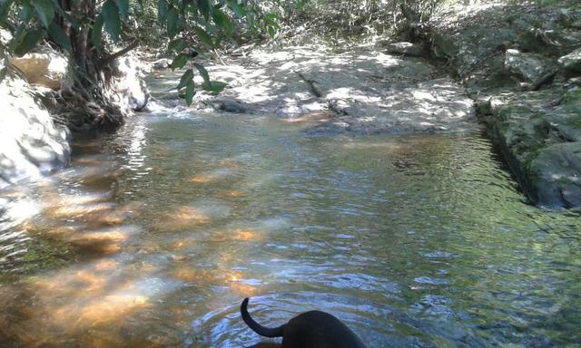 Fazenda 5.5 Alqueires Municipio de Pirinopolis Não aceita Imovel - Foto 4
