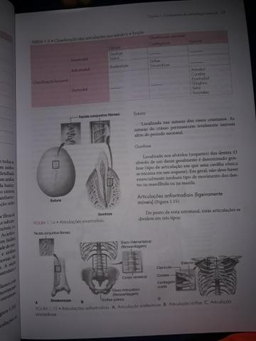 Cinesiologia Estrutural - Foto 5