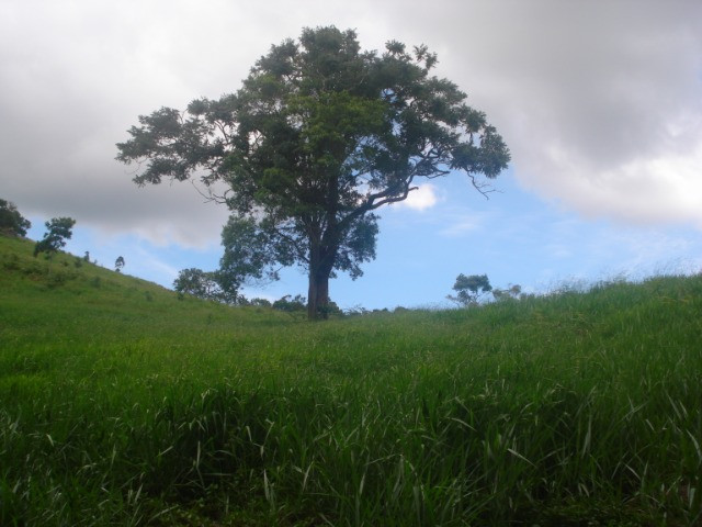 Sítio em Liberdade MG - Foto 3