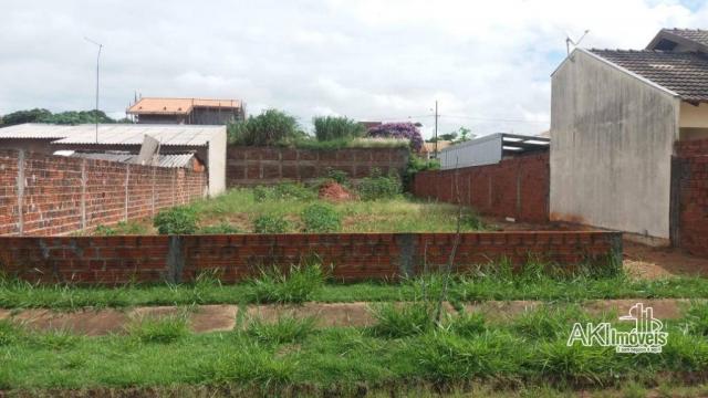 8046 | Terreno à venda em Residencial Parque Das Nações, Cianorte - Foto 3