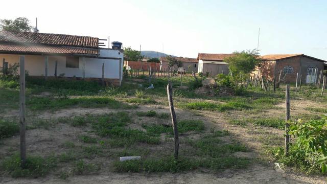 Vendo um lote - Foto 4