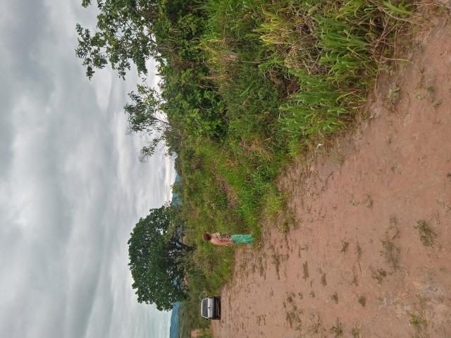 Lote 363m2 - Foto 4