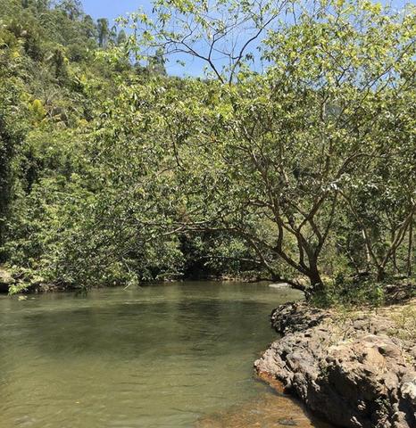 Linda Chácara 3700m2 Casa mobiliada 3 quartos em Domingos Martins - Foto 5