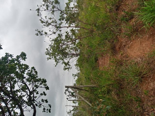 Lote 363m2 - Foto 5