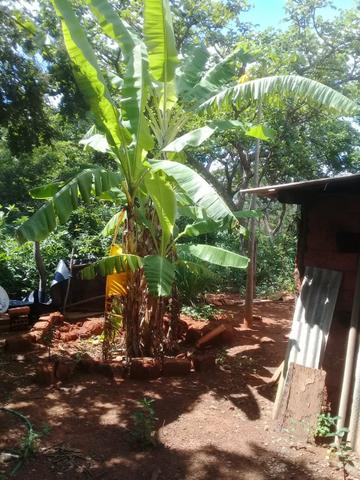 Vendo Chácara na Comunidade Rural de Extrema em Bocaiuva-Mg - Foto 13