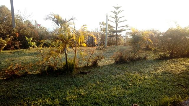 Venda